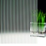 Fasara