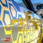 Oracal 351
